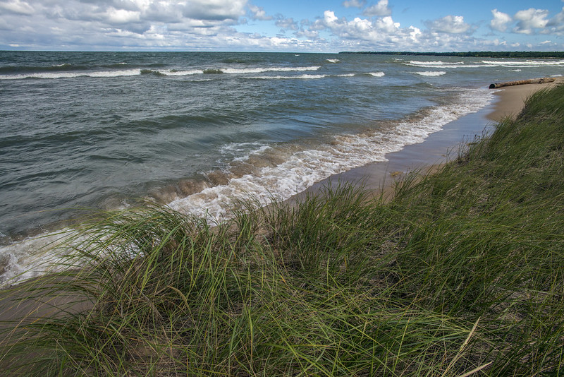 healthy shore line