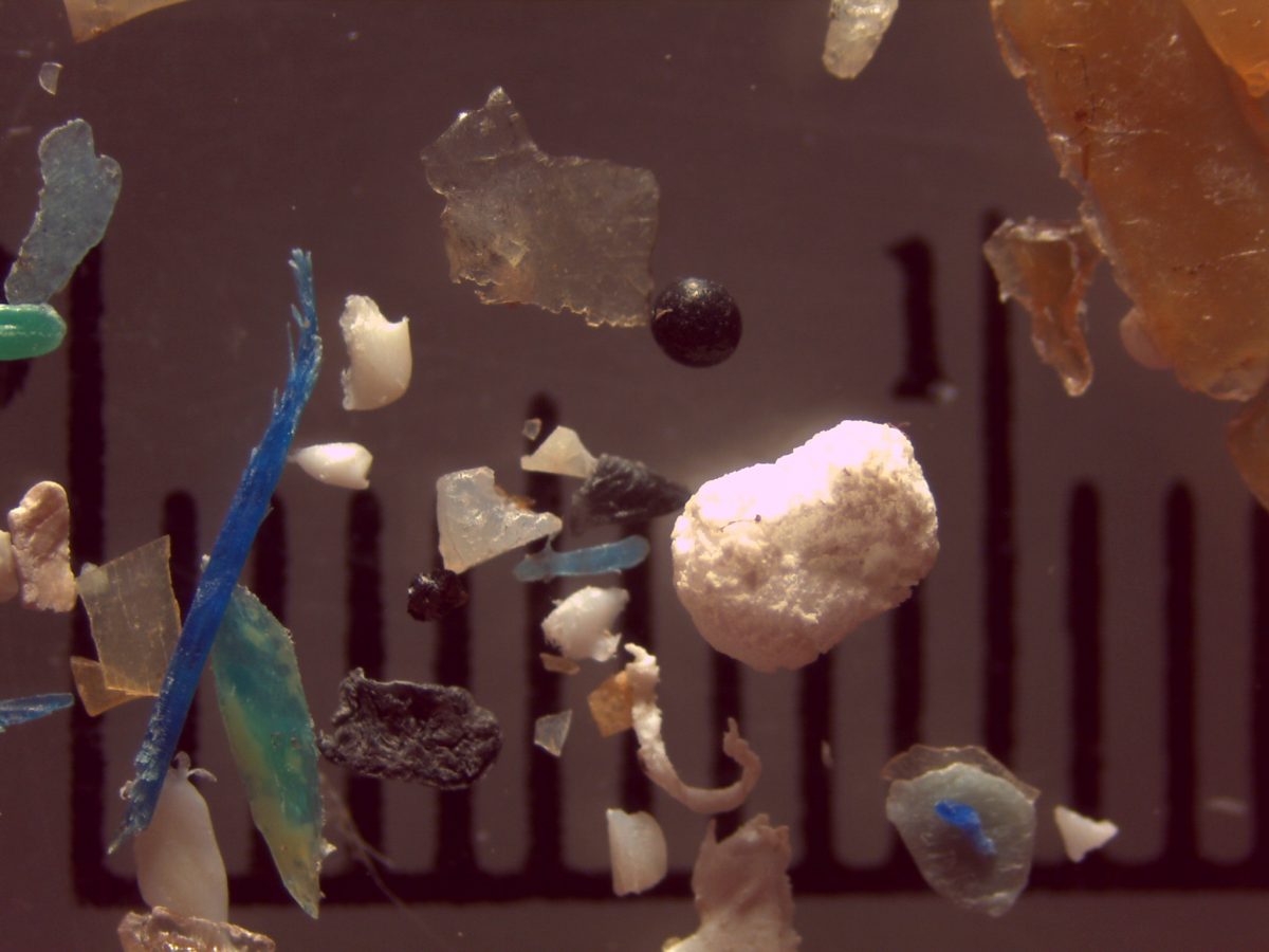 Microplastic is a major contributor to plastic pollution in the Great Lakes