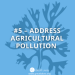 #5 - Address Agricultural Pollution