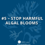 #5 - Stop Harmful Algal Blooms