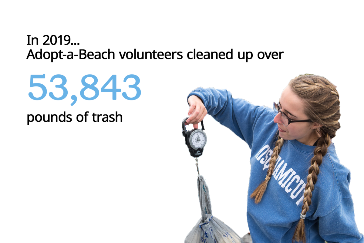 Adopt-a-beach volunteers cleaned up over 53,843 pounds of trash